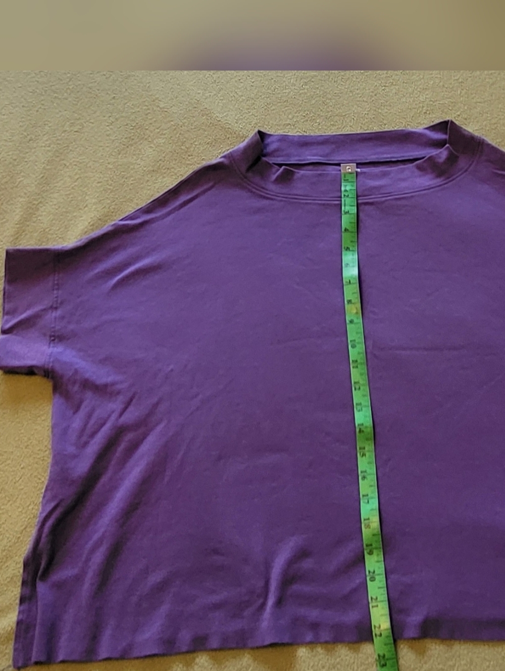 Boxy Cropped Mock Neck Top in Purple